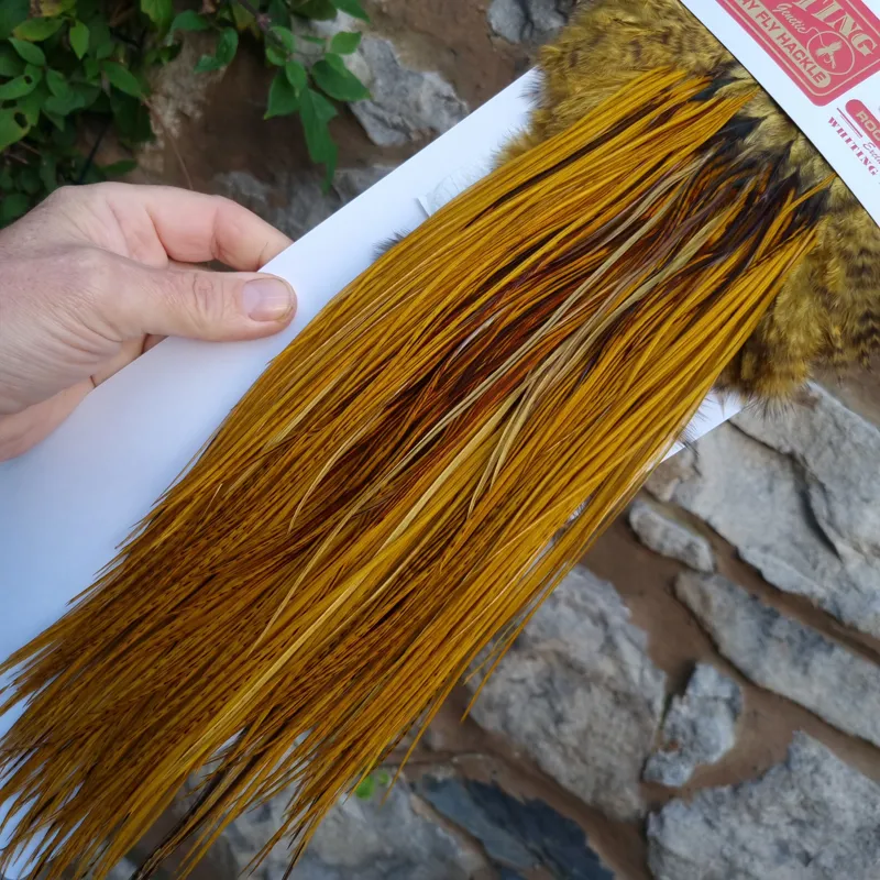 Whiting Pro-Grade Midge Rooster Saddle in THE DYE MASTERS Range Golden Olive Variant E-4